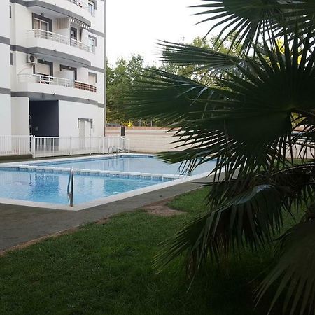 Appartement Avec Piscine San Vicente Raspeig Kültér fotó